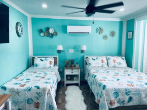 Beautiful and comfortable rom apt # 2